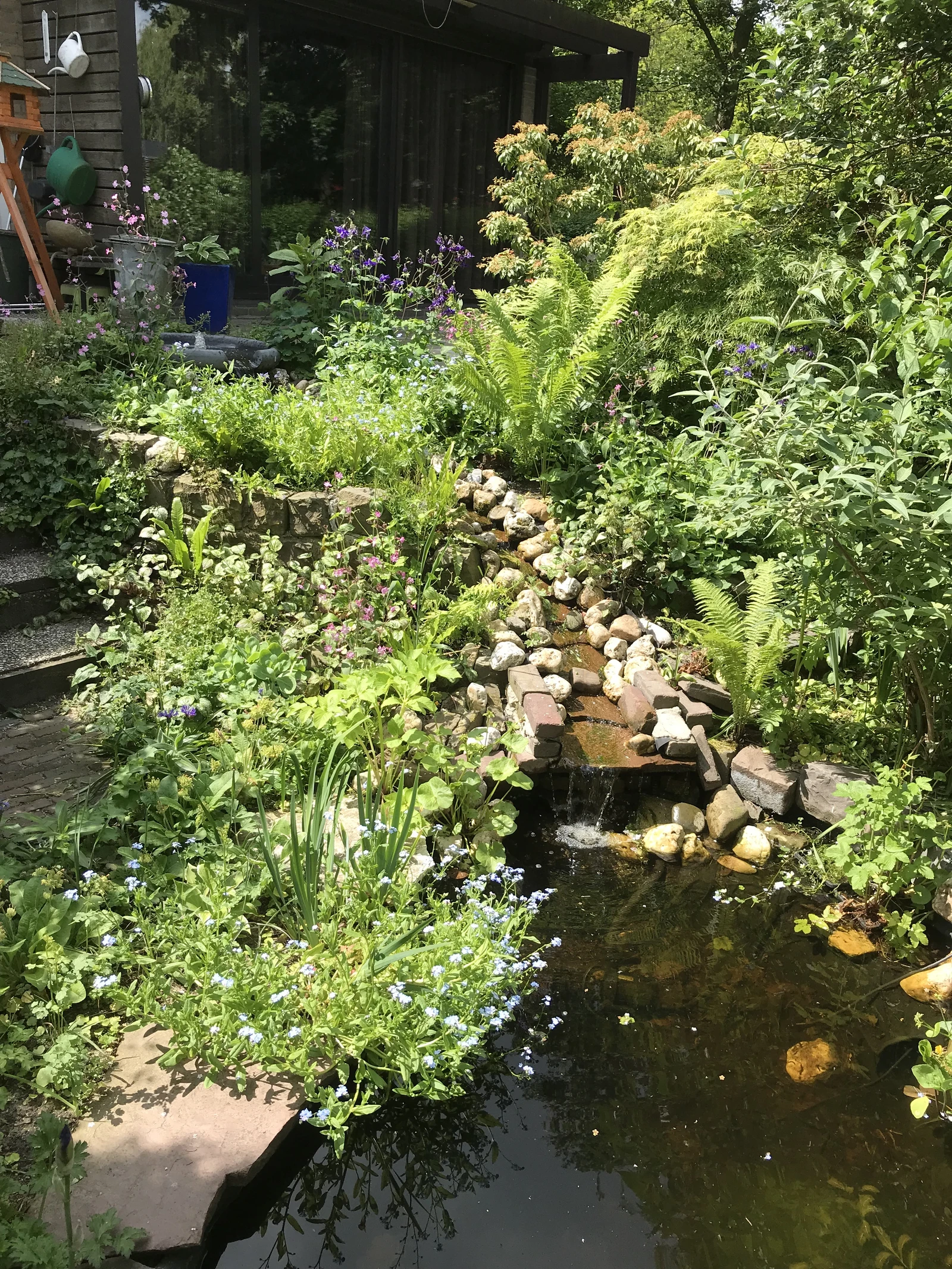 vijvertuin met hoogteverschil 1.jpg