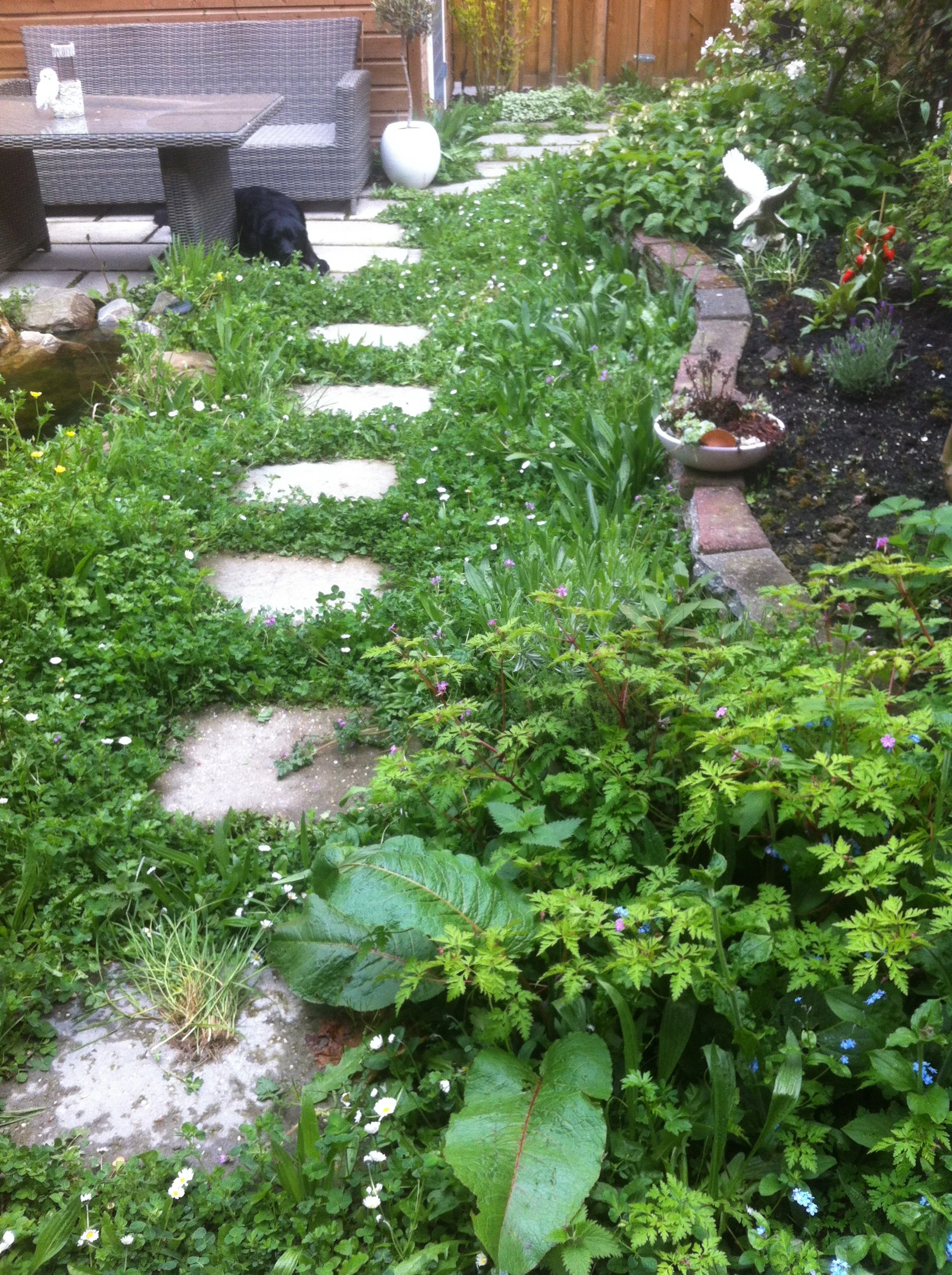 lowbuget niuwbouwtuin 1.JPG