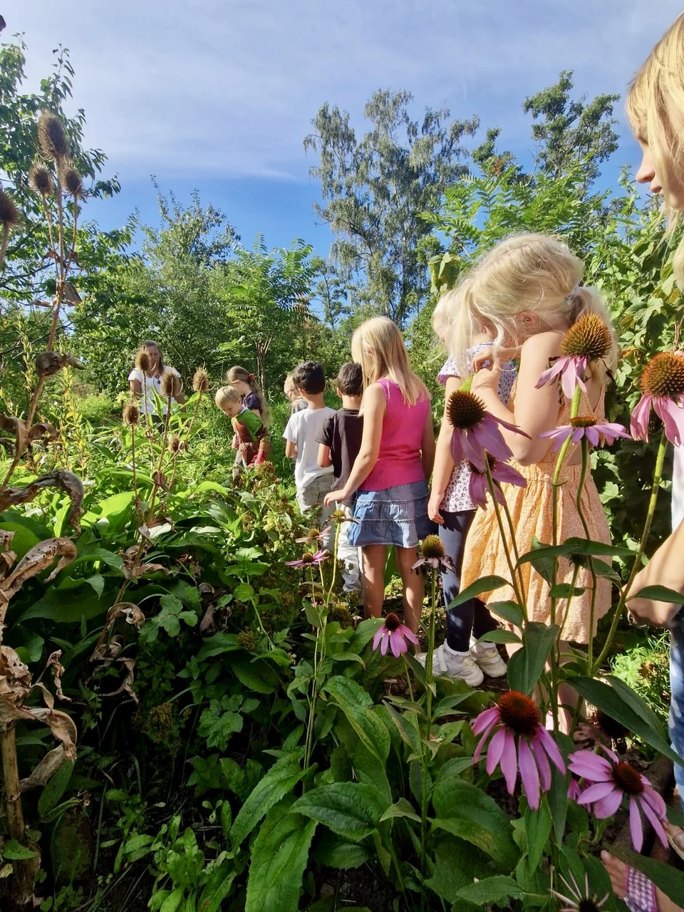 vb foto mirjam 2.jpg